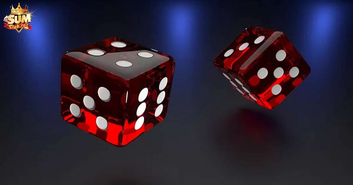 Các cửa cược phổ biến trong Xí Ngầu