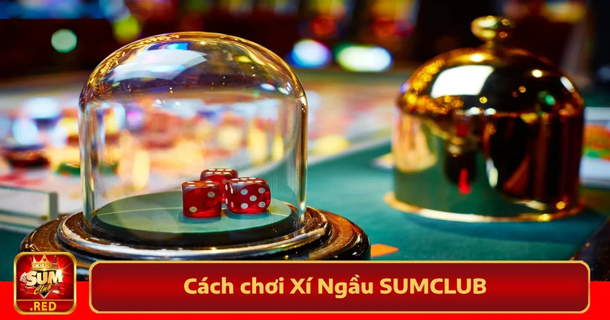 Cách Chơi Xí Ngầu SUMCLUB – Cược Một Phát Là Trúng Ngay